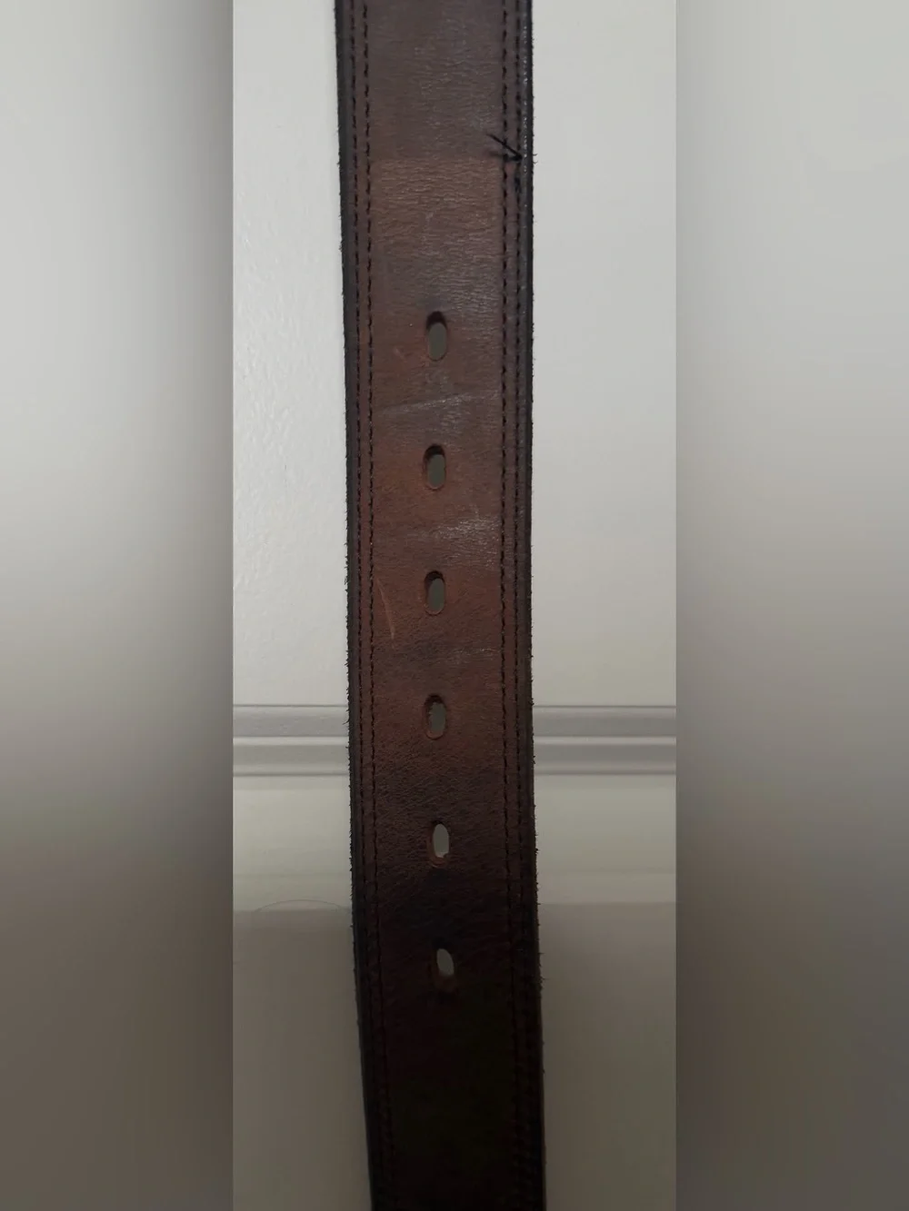 The Wyoming Bison belt